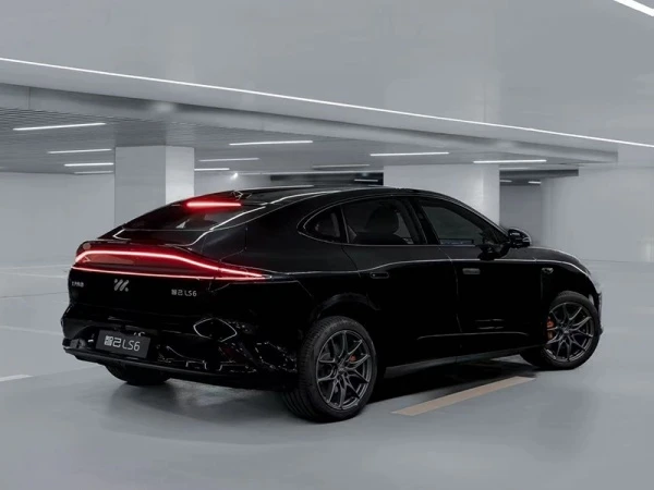 ls6 ls6