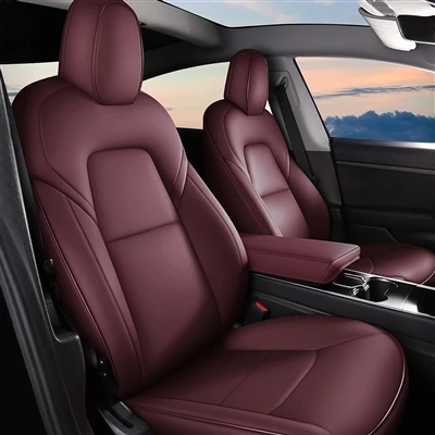 Mobil Pertama Anak Muda Mungkin Tesla